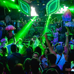 INVADERS_ACIDFOREST_logo-453