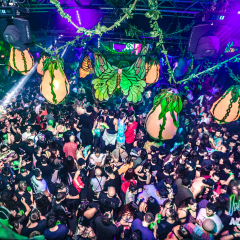 ACIDFOREST-129