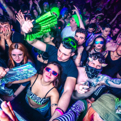 ACIDFOREST-158