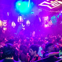 ACIDFOREST-231