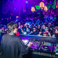 ACIDFOREST-84