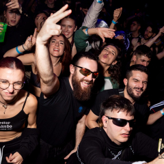 INV_LostKingdom_Logo-163