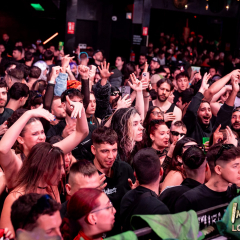 INV_LostKingdom_Logo-358