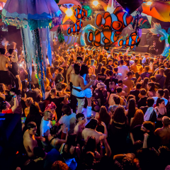 rodrigoXinvadermayo23log237